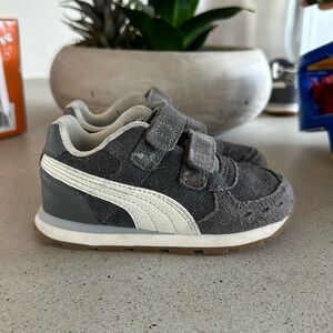 Toddler Puma’s